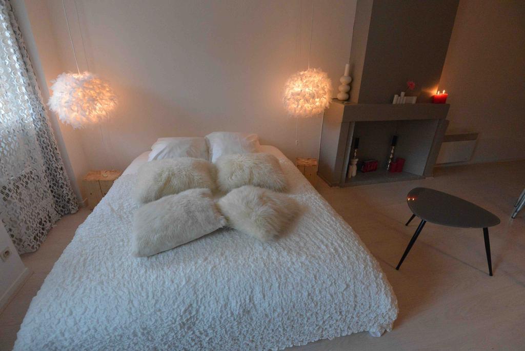 "Un Lieu Unique" Le Cozy Apartment Annecy Room photo
